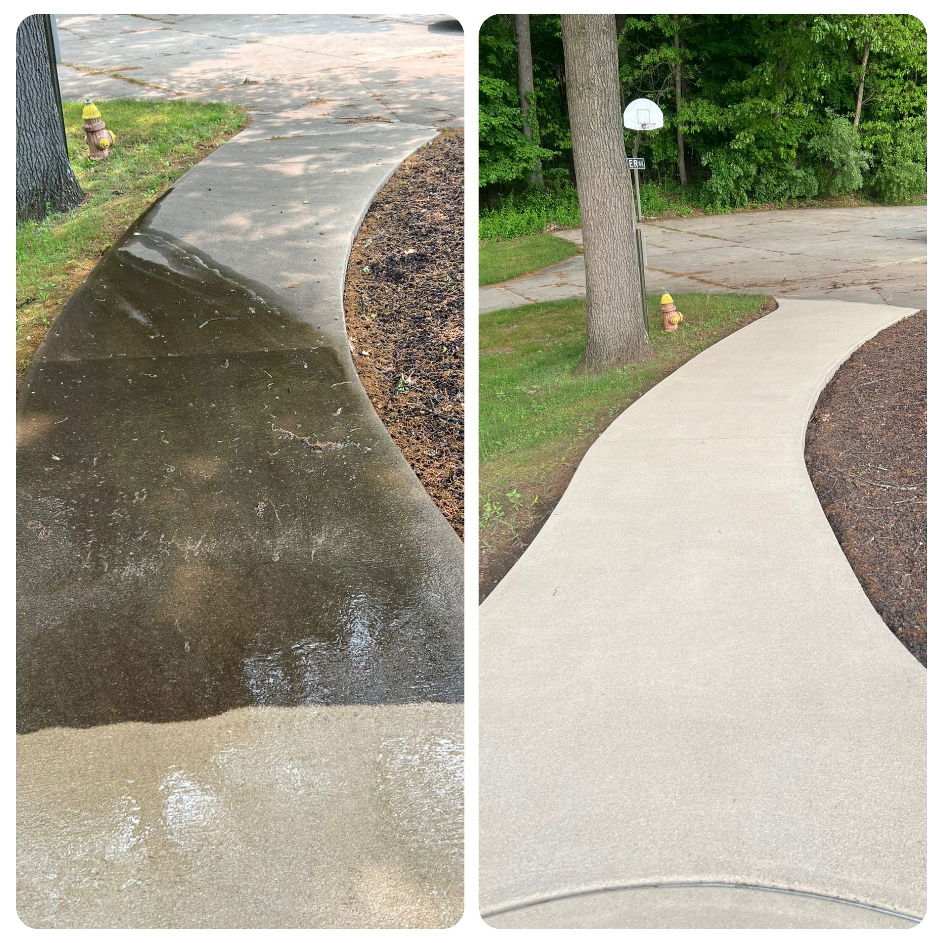 Driveway and Sidewalk Revitalization