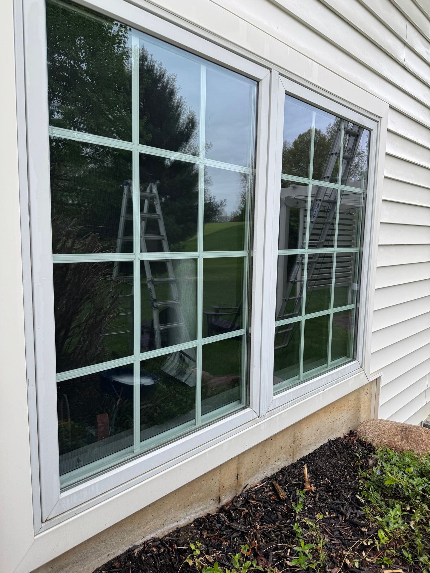 Window Washing Perfection